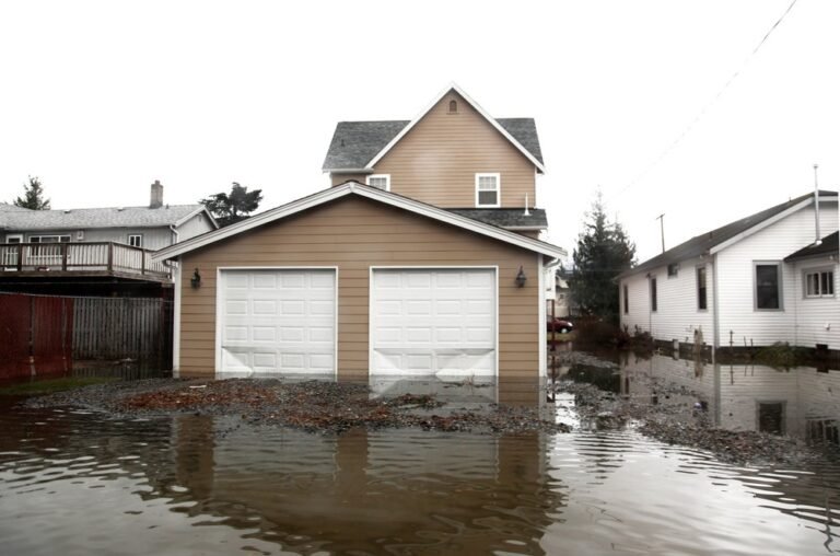 Picture of Eco-Friendly Flood Protection Solutions for Every Home: A Guide to ...